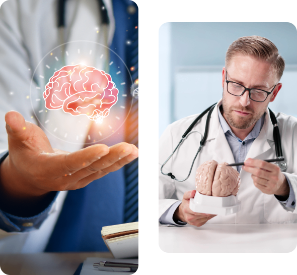 Doctor examining brain model